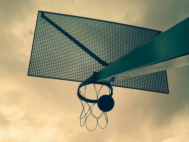 Profile of the basketball court Alfred Verweerplein, Knokke, Belgium