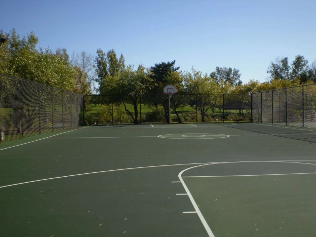 The basketball court at Lake Charleton Park in Downers Grove, IL