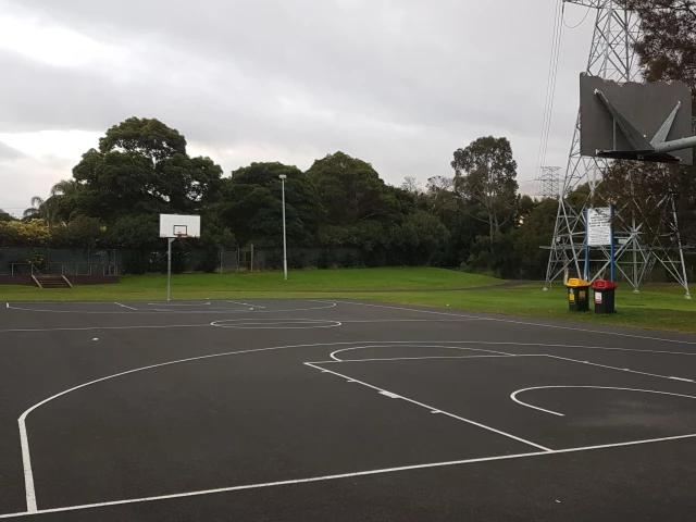 Profile of the basketball court Tasker Park Court, Canterbury, Australia