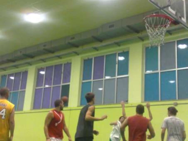 Profile of the basketball court WPL Indoor Playground E. Fermi School Gym, Pontedera, Italy