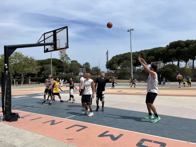 Profile of the basketball court Playground Carmen Amaya, Barcelona, Spain
