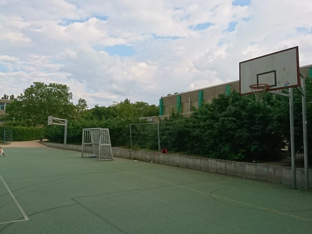 Basket of full court - South side