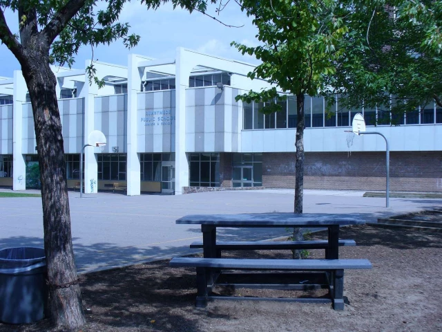 Profile of the basketball court Runnymede Public School, Toronto, Canada