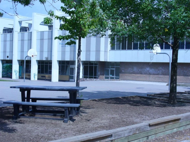Profile of the basketball court Runnymede Public School, Toronto, Canada