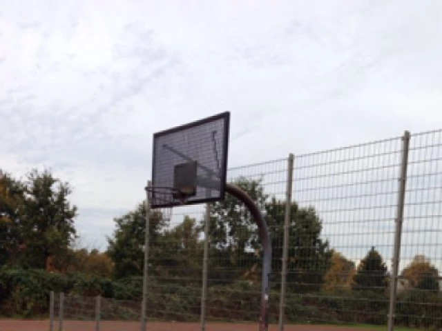 Hagenbecker Basket