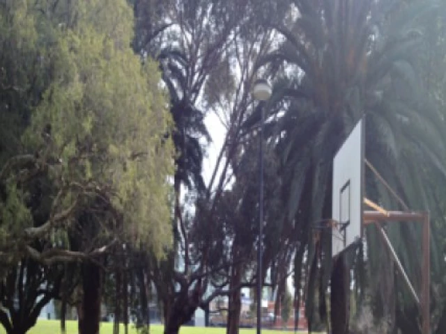 Profile of the basketball court Kitchener Park, Subiaco, Australia