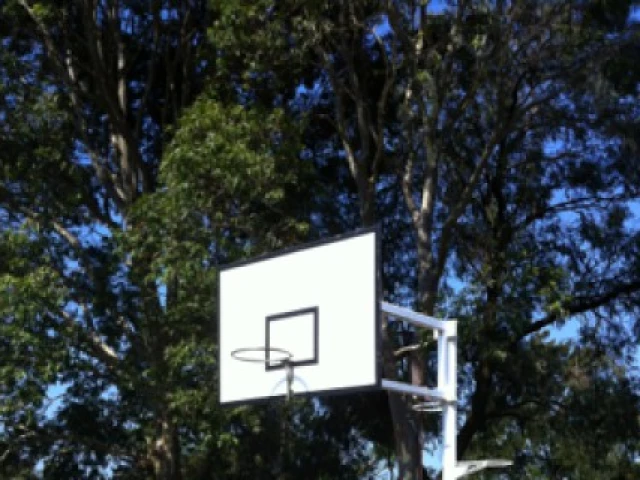 Profile of the basketball court Digistor's Home Court, Artarmon, Australia