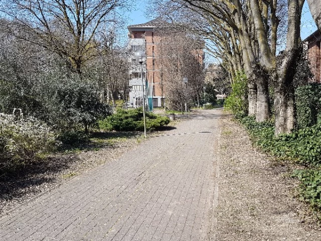 Path to the court