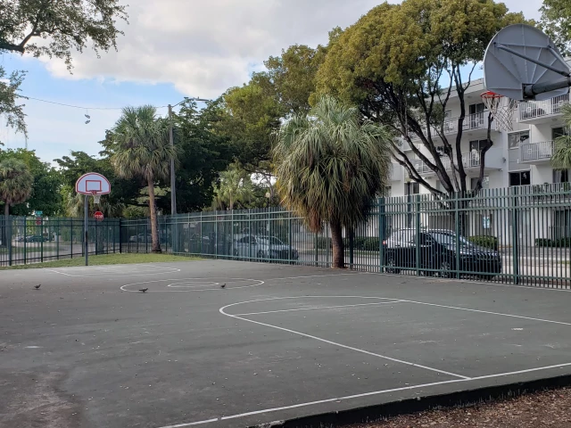 Profile of the basketball court Triangle Park, Miami, FL, United States