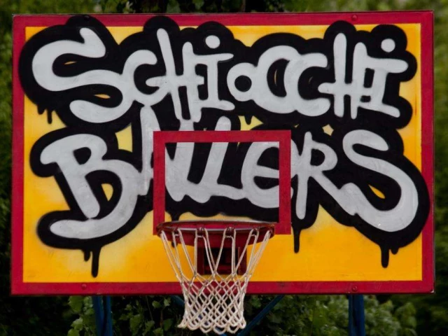 Profile of the basketball court Playground Schiocchi, Modena, Italy