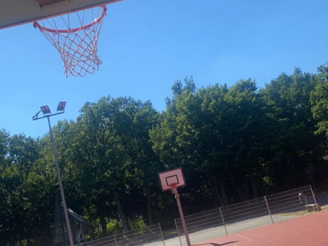Profile of the basketball court Blockdiek, Bremen, Germany