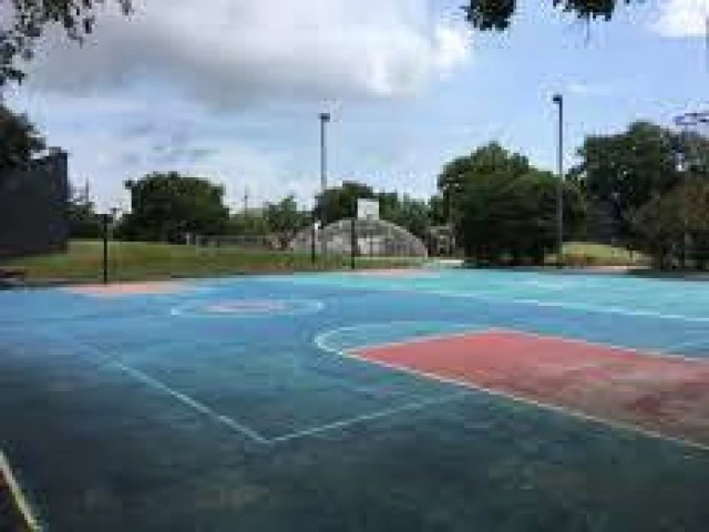 Profile of the basketball court Crescent City Playground, New Orleans, LA, United States