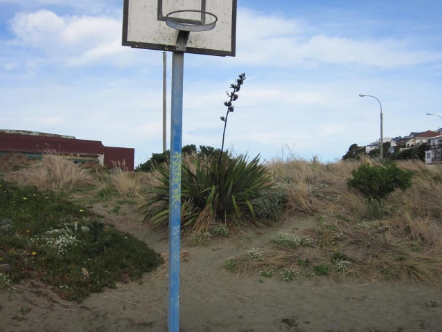 Profile of the basketball court Shorland Park, Wellington, New Zealand