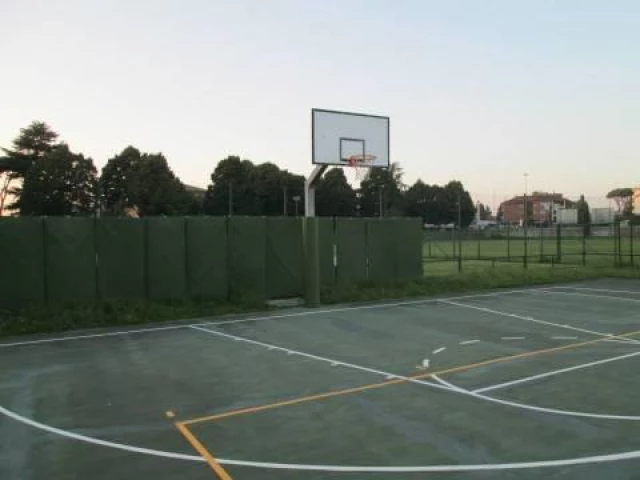 Profile of the basketball court Policlinico Gemelli, Rome, Italy