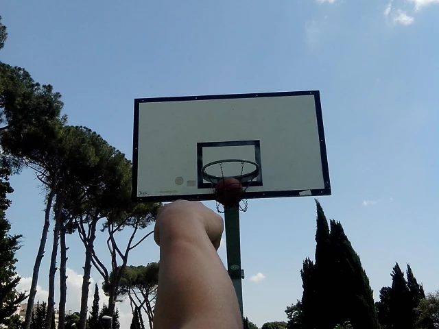Profile of the basketball court Villa Balestra, Rome, Italy