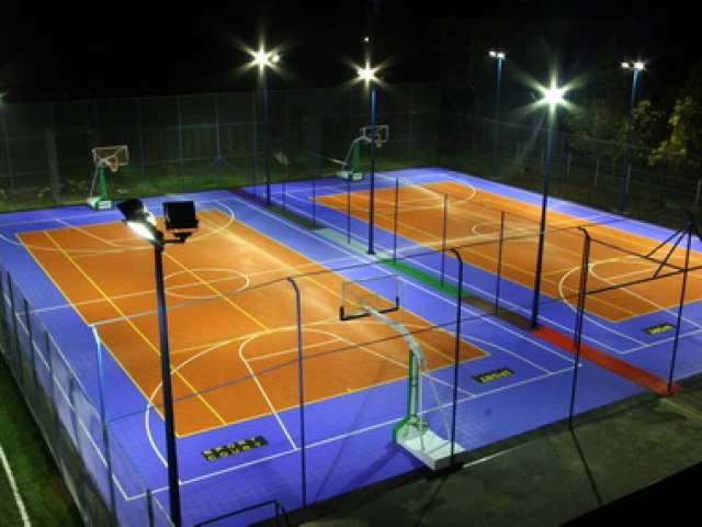 Politehnica Sport Arena Court in Bucharest