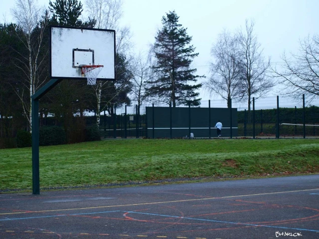 Profile of the basketball court College Playground, Le Loroux-Bottereau, France