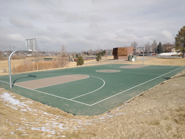 Profile of the basketball court Spring Creek, Aurora, CO, United States