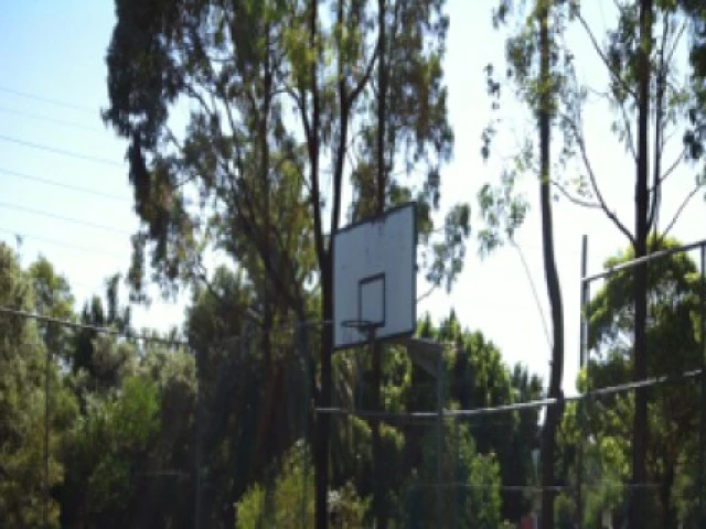 Profile of the basketball court Belfield Courts, Belfield, Australia