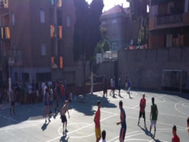 Profile of the basketball court Cristo Re, Pesaro, Italy