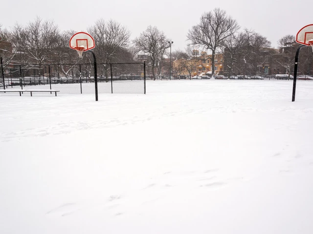 Profile of the basketball court Wicker Park Courts, Chicago, IL, United States