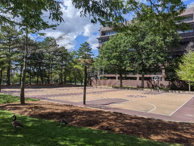 Profile of the basketball court Riverside, Cambridge, MA, United States