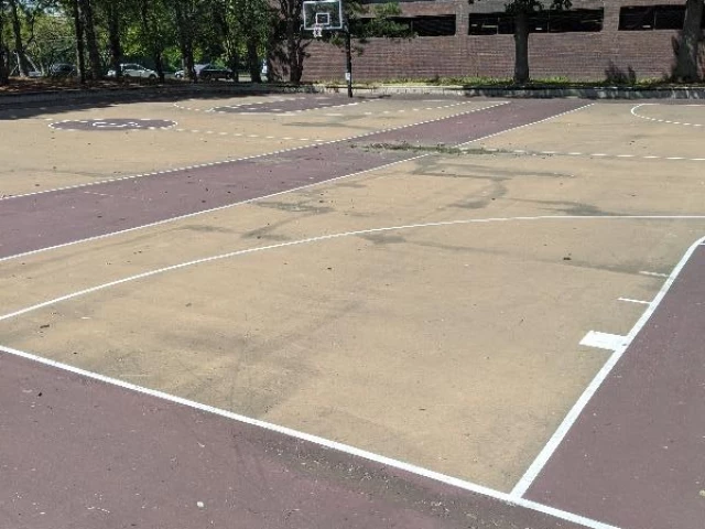 Profile of the basketball court Riverside, Cambridge, MA, United States