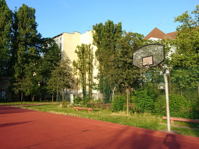 Basket of big court - South East side