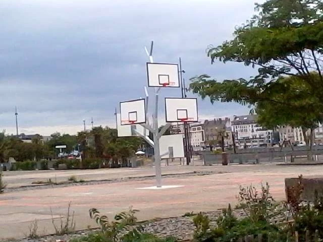 Profile of the basketball court L'arbre à basket, Nantes, France