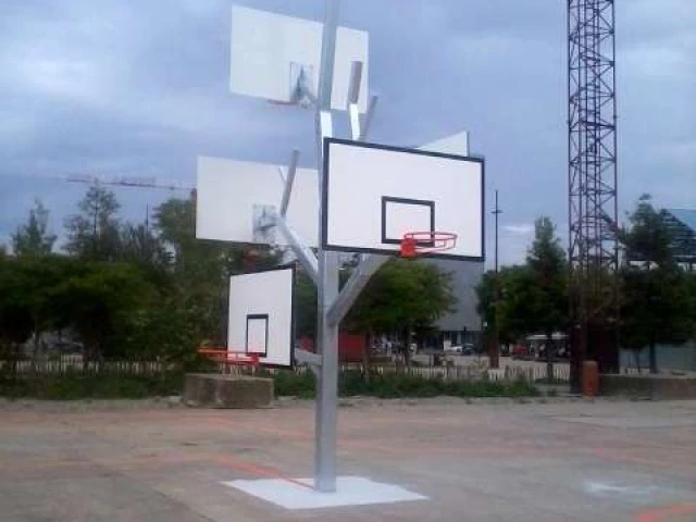 l\'arbre à basket