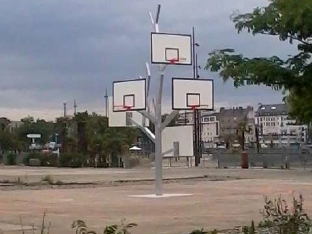 Profile of the basketball court L'arbre à basket, Nantes, France