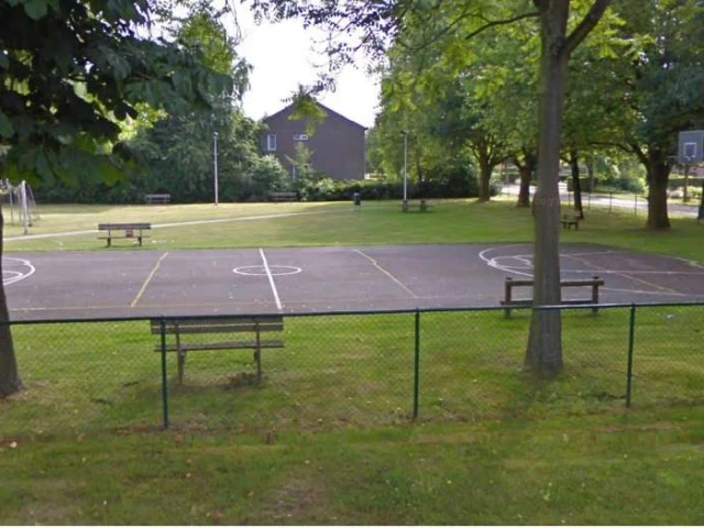 Profile of the basketball court Bokrijk, Genk, Belgium