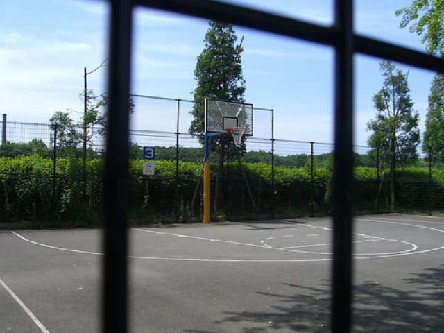 Profile of the basketball court Showa Kinen Park, Akishima, Japan
