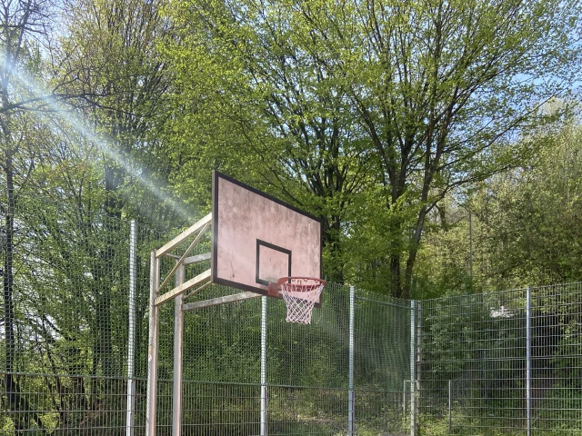Profile of the basketball court Platz am Gymmi, Wertheim, Germany