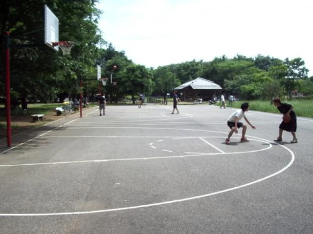 Profile of the basketball court Koganei Park, Musashino, Japan