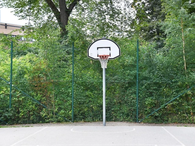 Kronobergsparken basketball