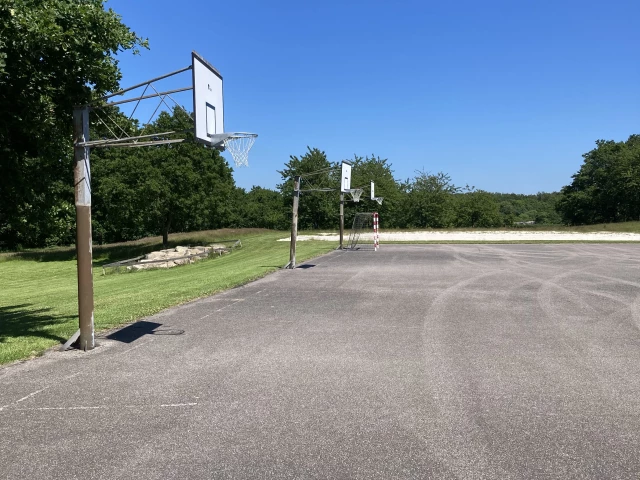 Profile of the basketball court Gymnasium, Kolding, Denmark