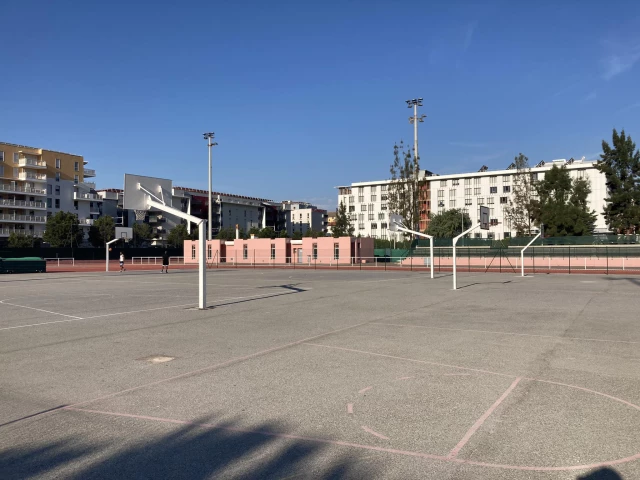 Profile of the basketball court Stade Vauban, Nice, France