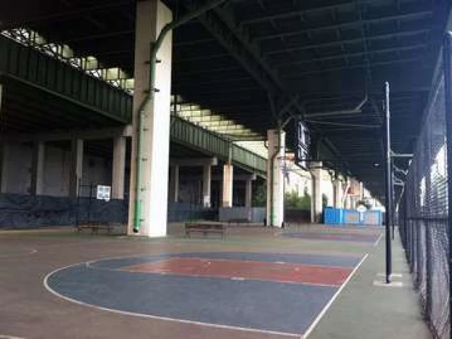 The courts