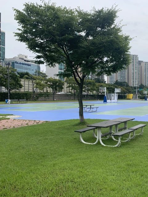 Profile of the basketball court Ichon Hangang Park, Seoul, South Korea
