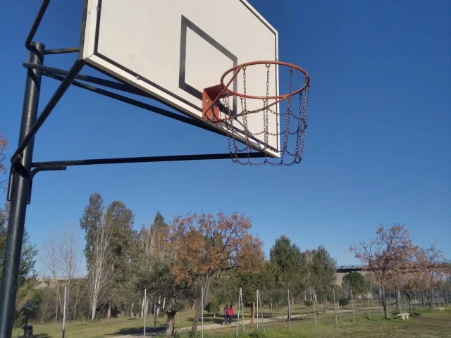 Profile of the basketball court Canchas Baloncesto La Isla, Merida, Spain