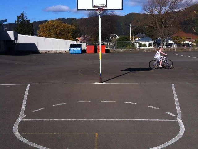 Profile of the basketball court Hutt Intermediate, Lower Hutt, New Zealand