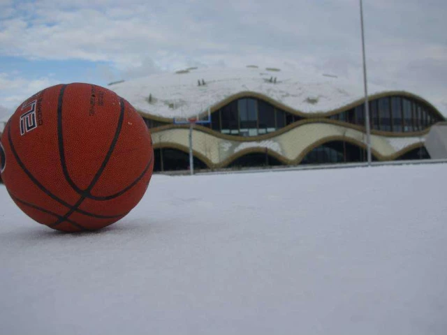 Profile of the basketball court Nove Stožice, Ljubljana, Slovenia