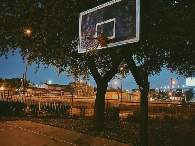Profile of the basketball court Griggs Park, Dallas, TX, United States
