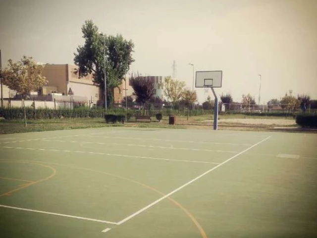 Profile of the basketball court Decathlon Moncalieri, Moncalieri, Italy