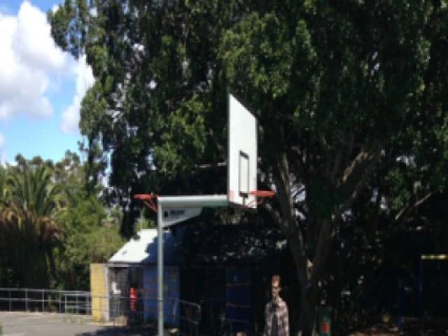 Profile of the basketball court Waverley Public School, Waverley, Australia