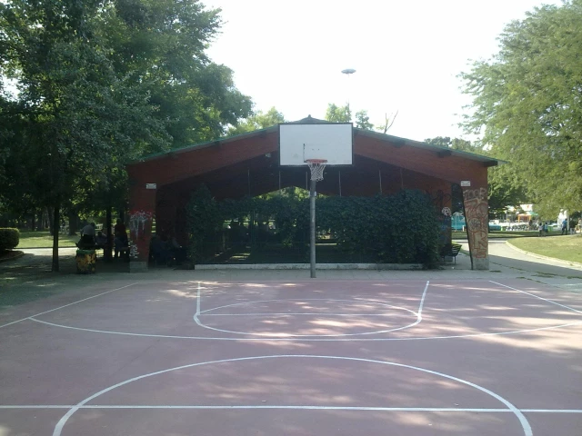 Profile of the basketball court Viale Umbria, Milan, Italy