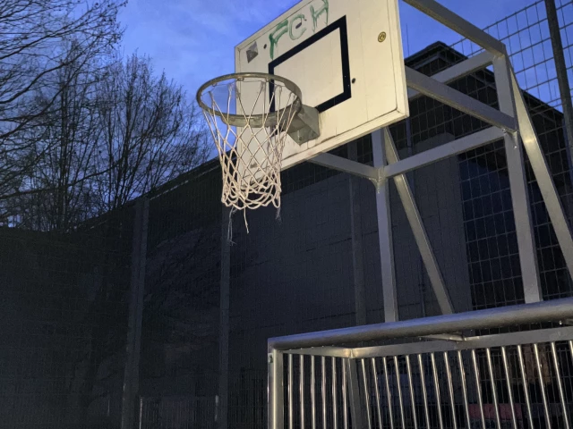 Profile of the basketball court Realschule, Homburg, Germany