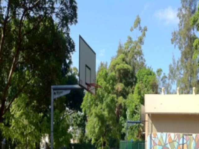 Profile of the basketball court Lillian Fowler Reserve, Newtown, Australia