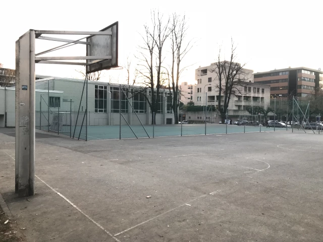 Profile of the basketball court Lambertenghi, Lugano, Switzerland